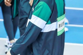 爱游戏体育-浓眉哥新星绝杀表现惊艳，瑞士队未来可期！的简单介绍